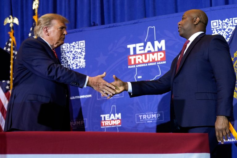 Replay the tape: DNC revives warnings of Trump rivals to taunt him before New Hampshire primary