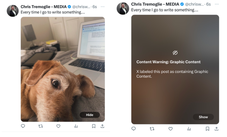 Why is X (formerly Twitter) warning that a picture of my dog is ‘graphic content’?