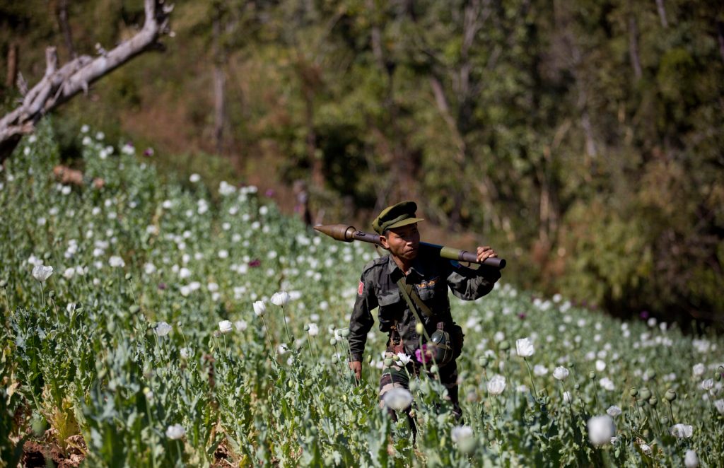 Myanmar rebels, villagers destroy poppy crops