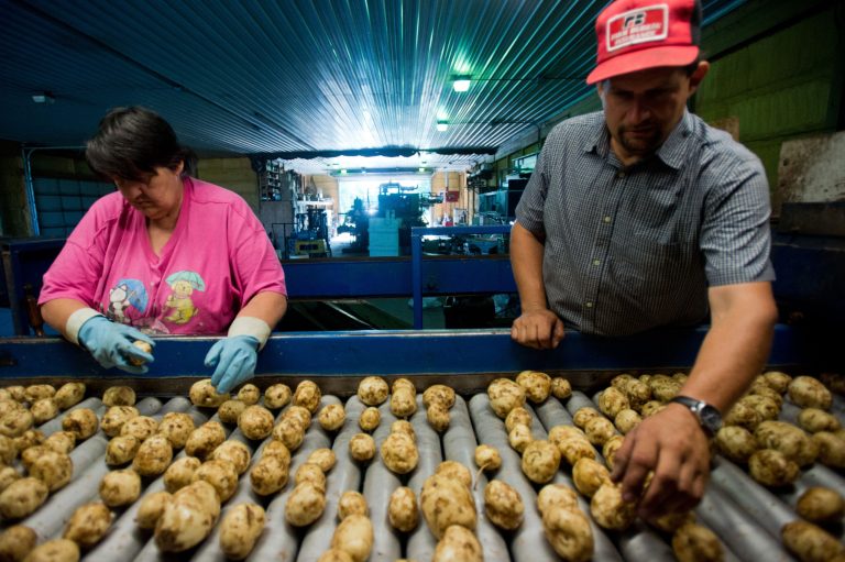 US producer prices rise just 0.1 percent in July