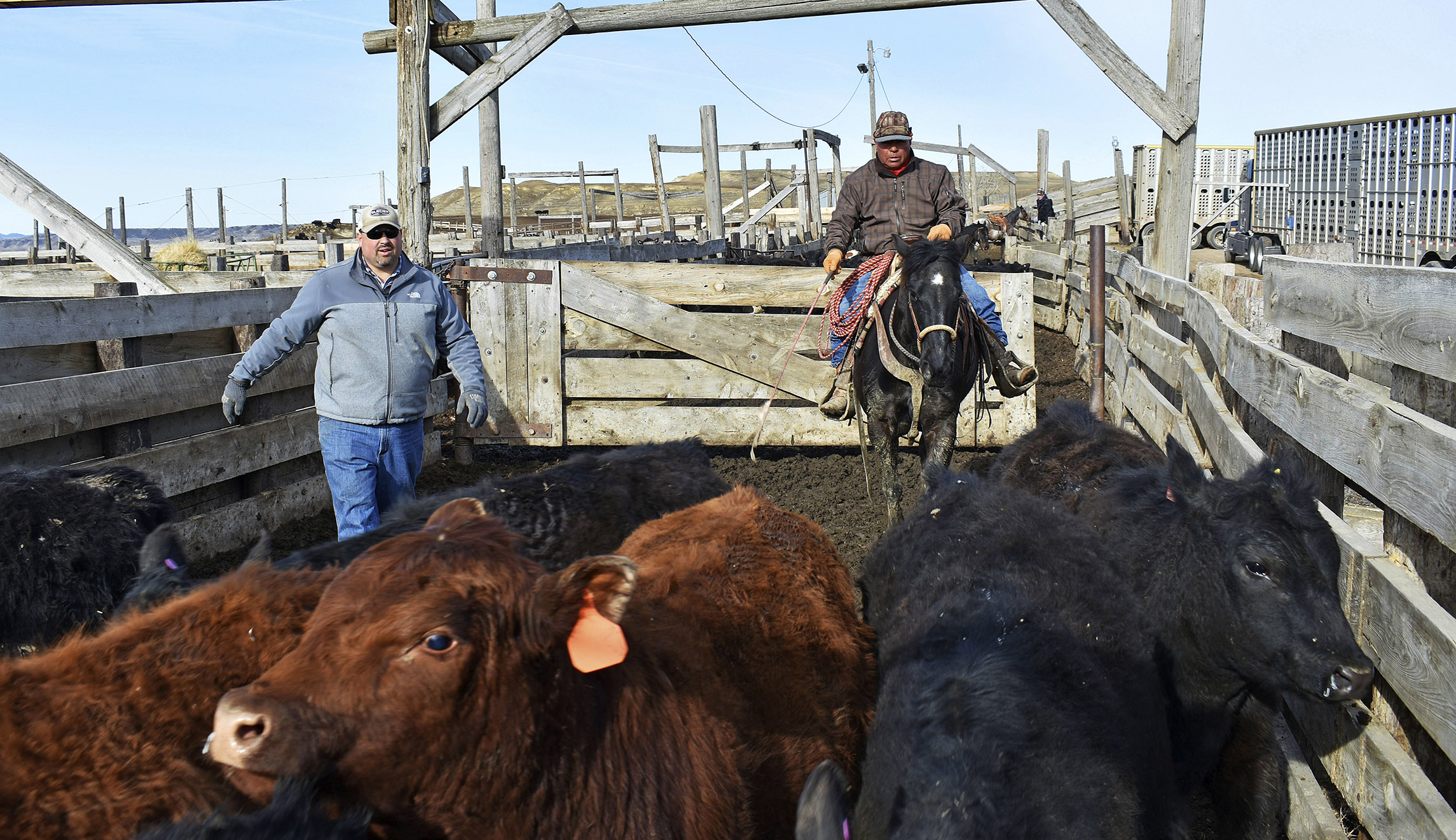 Farmers and ranchers caught in the middle of Trump’s trade wars