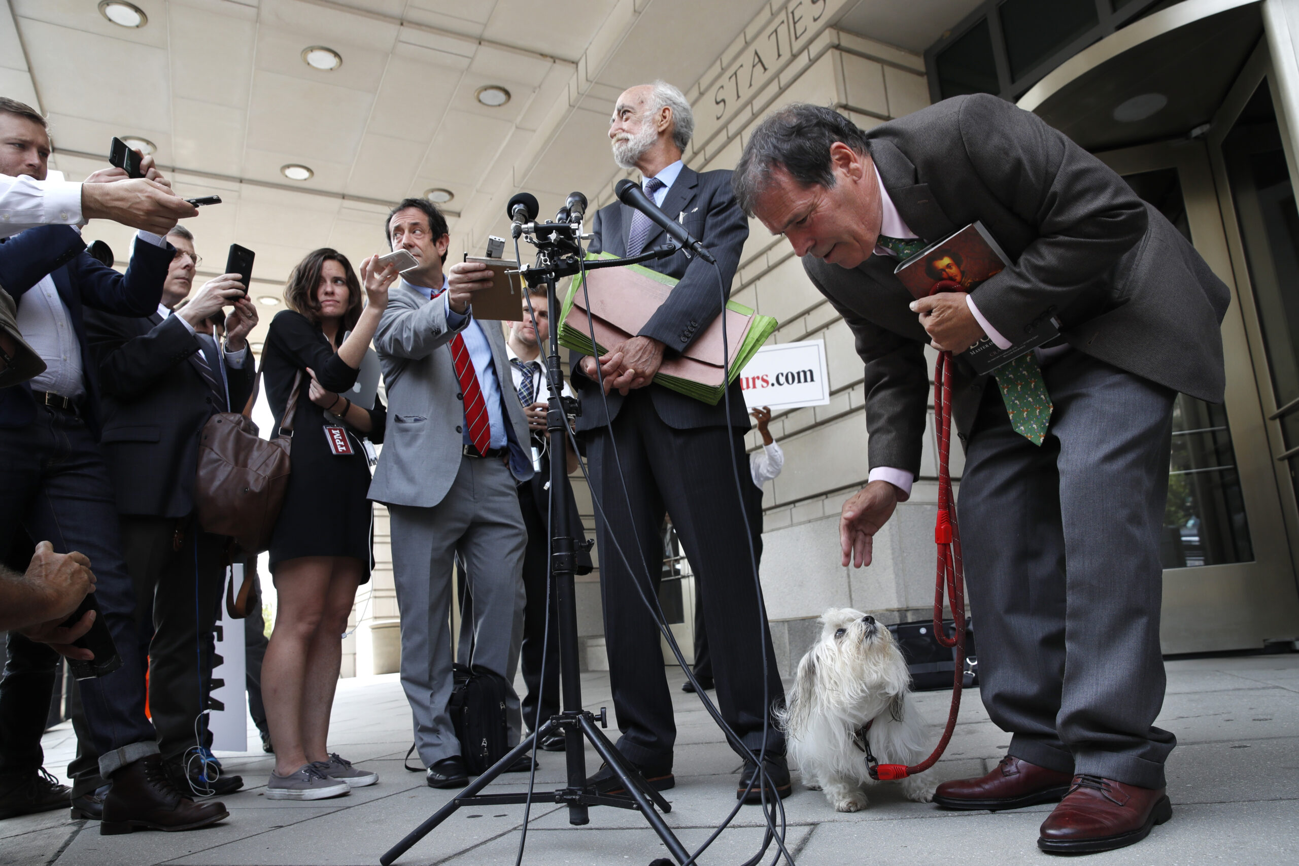 'I don’t think he would steal a dog': Witness says Roger Stone wasn’t seriously threatening pup Bianca