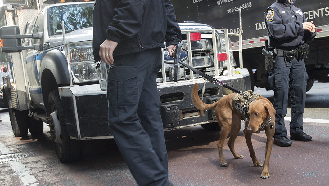 Could the bombs that targeted Democrats win them the midterm elections?