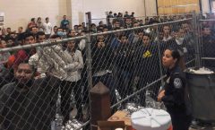 Update: Border personnel taking 80 migrants to hospitals daily: DHS official