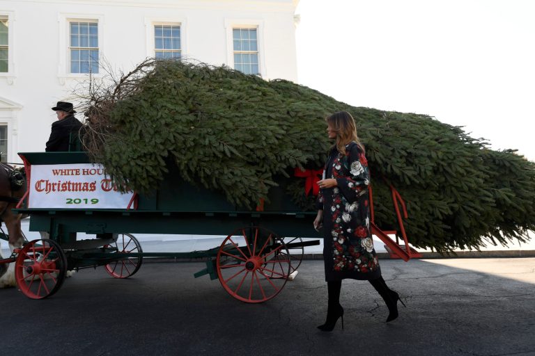 WATCH: Melania Trump receives White House Christmas tree