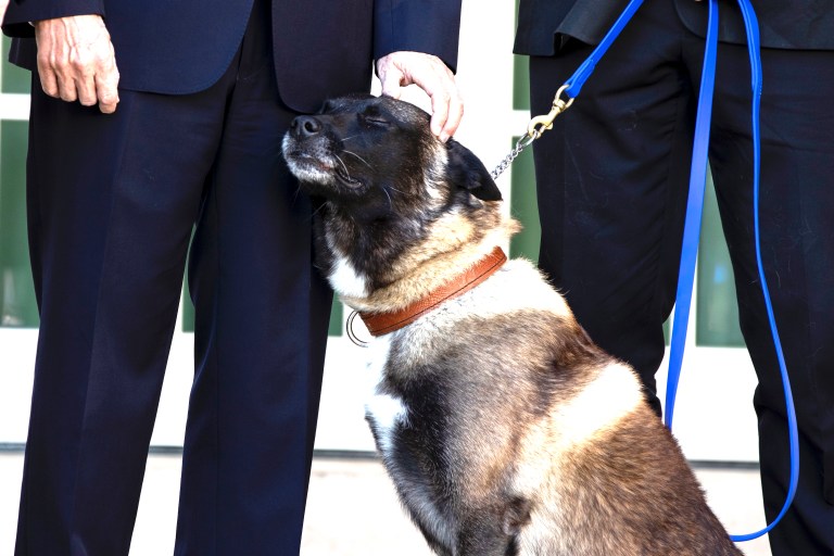 ‘Perhaps Conan is like Lassie’: Fox correspondent wonders whether military dog was really at White House