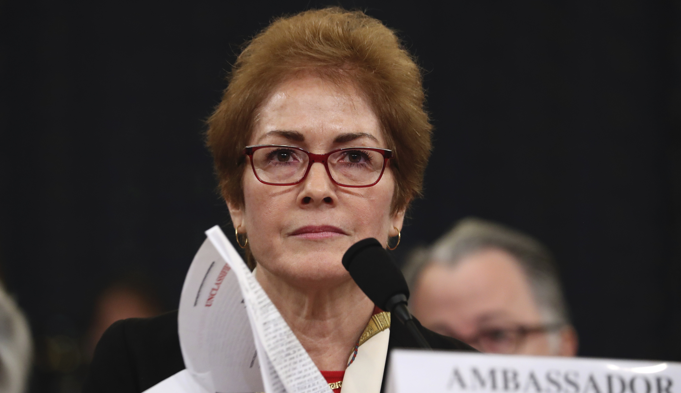 Marie Yovanovitch warns US against becoming country where ‘standing up to our government is a dangerous act’