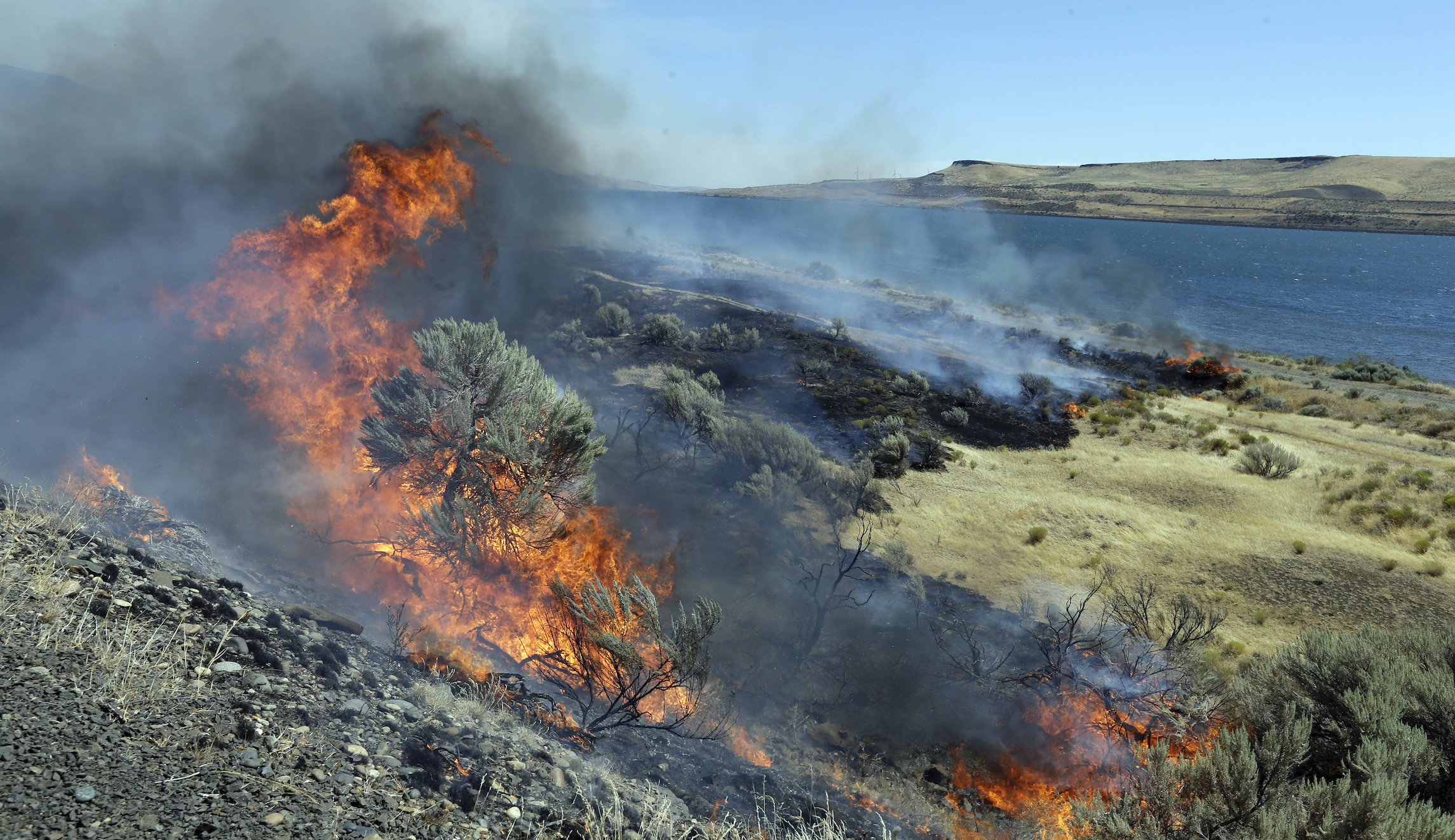 Juvenile apprehended in connection to four forest fires burning in Utah