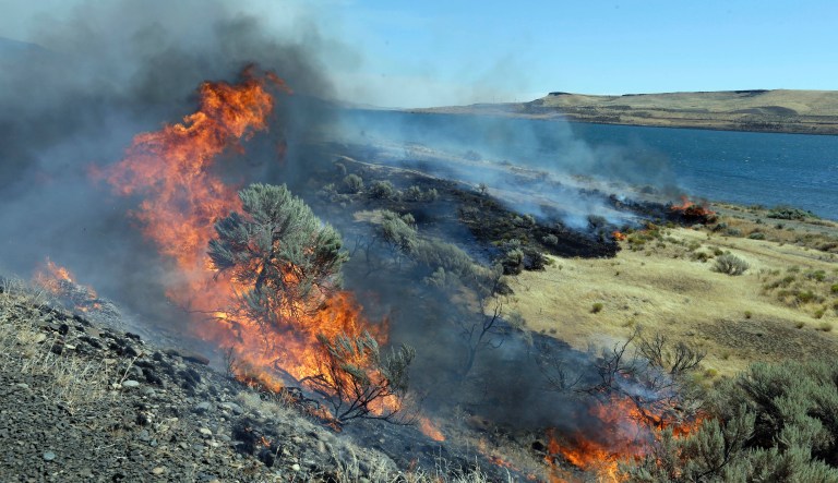 Juvenile apprehended in connection to four forest fires burning in Utah