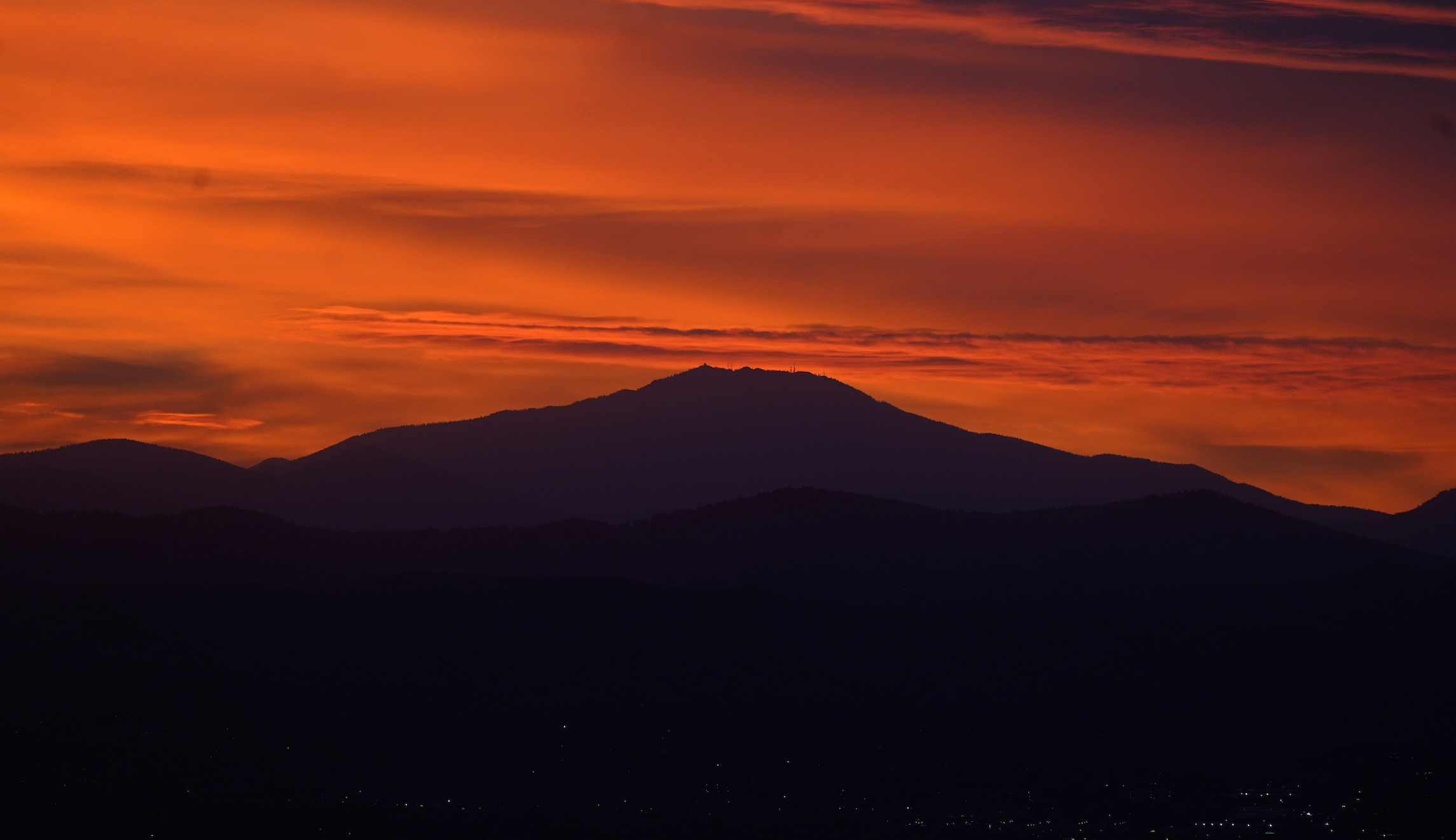 How environmental groups fuel forest fires