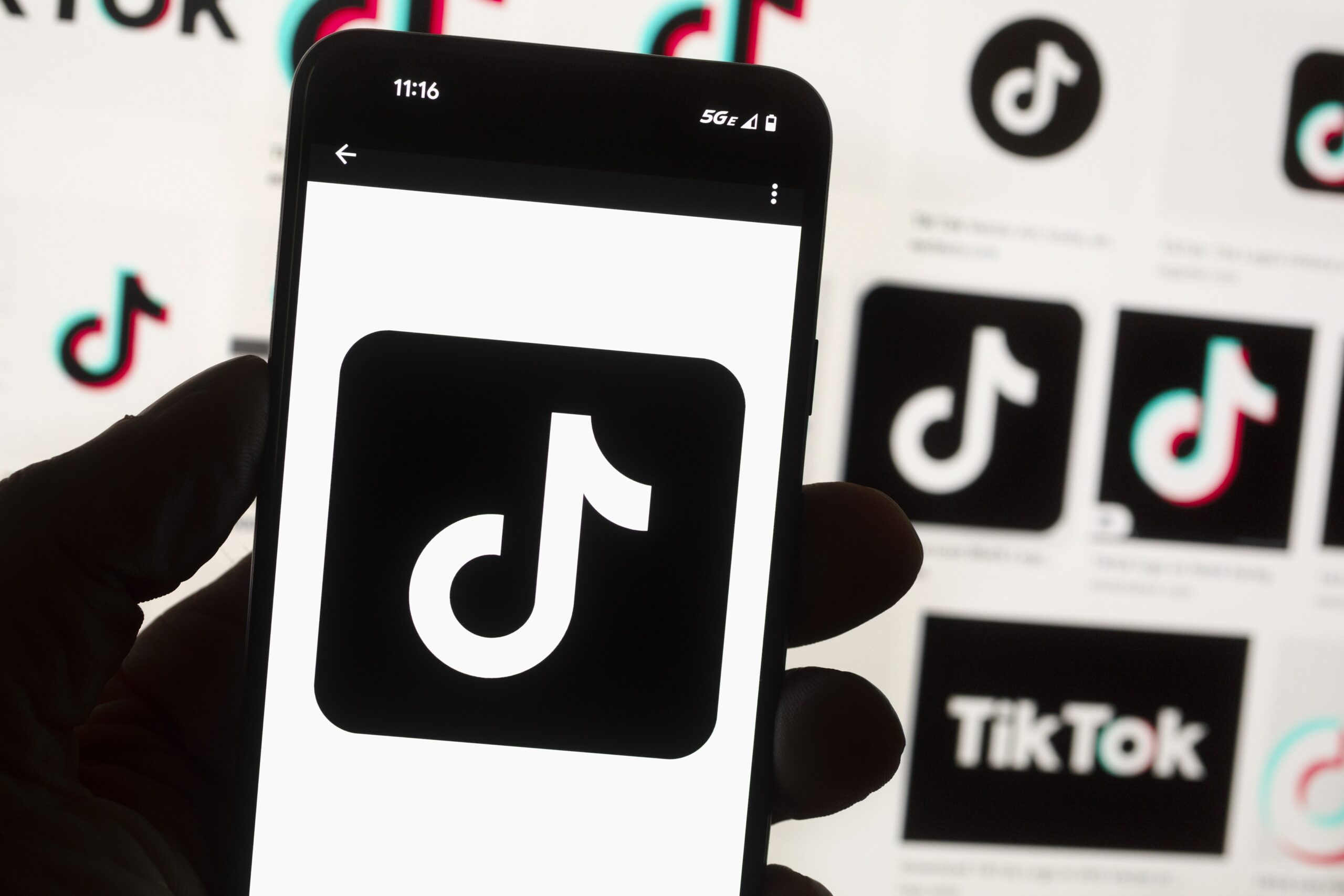 TikTok data trackers installed on state government websites, review finds