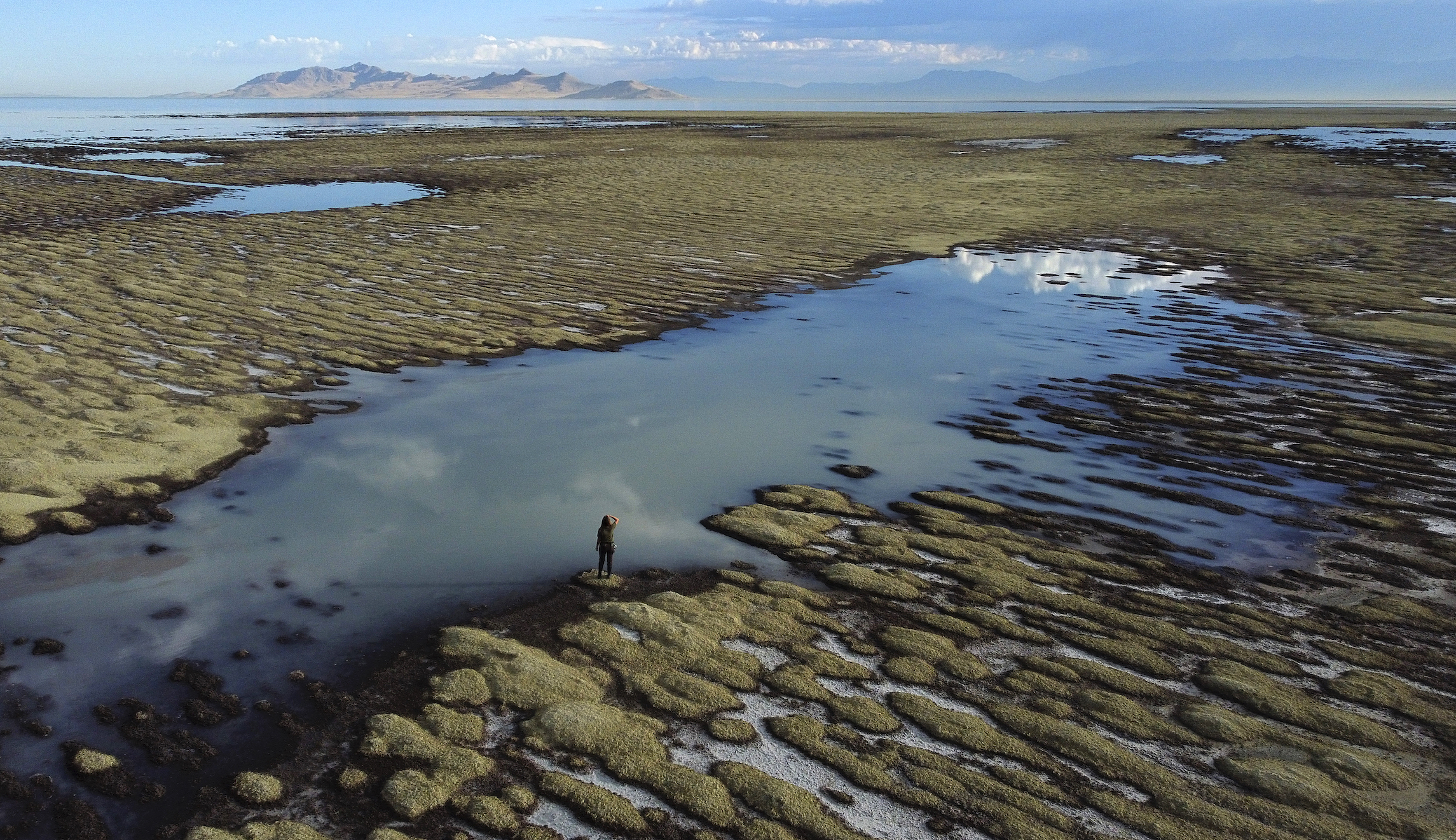 The revival of the conservative conservation ethos