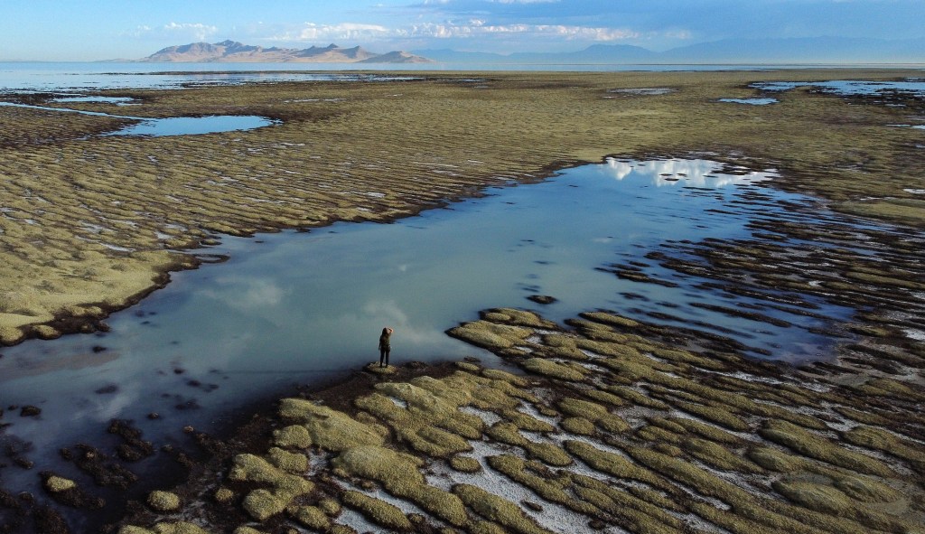 The revival of the conservative conservation ethos