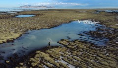 The revival of the conservative conservation ethos