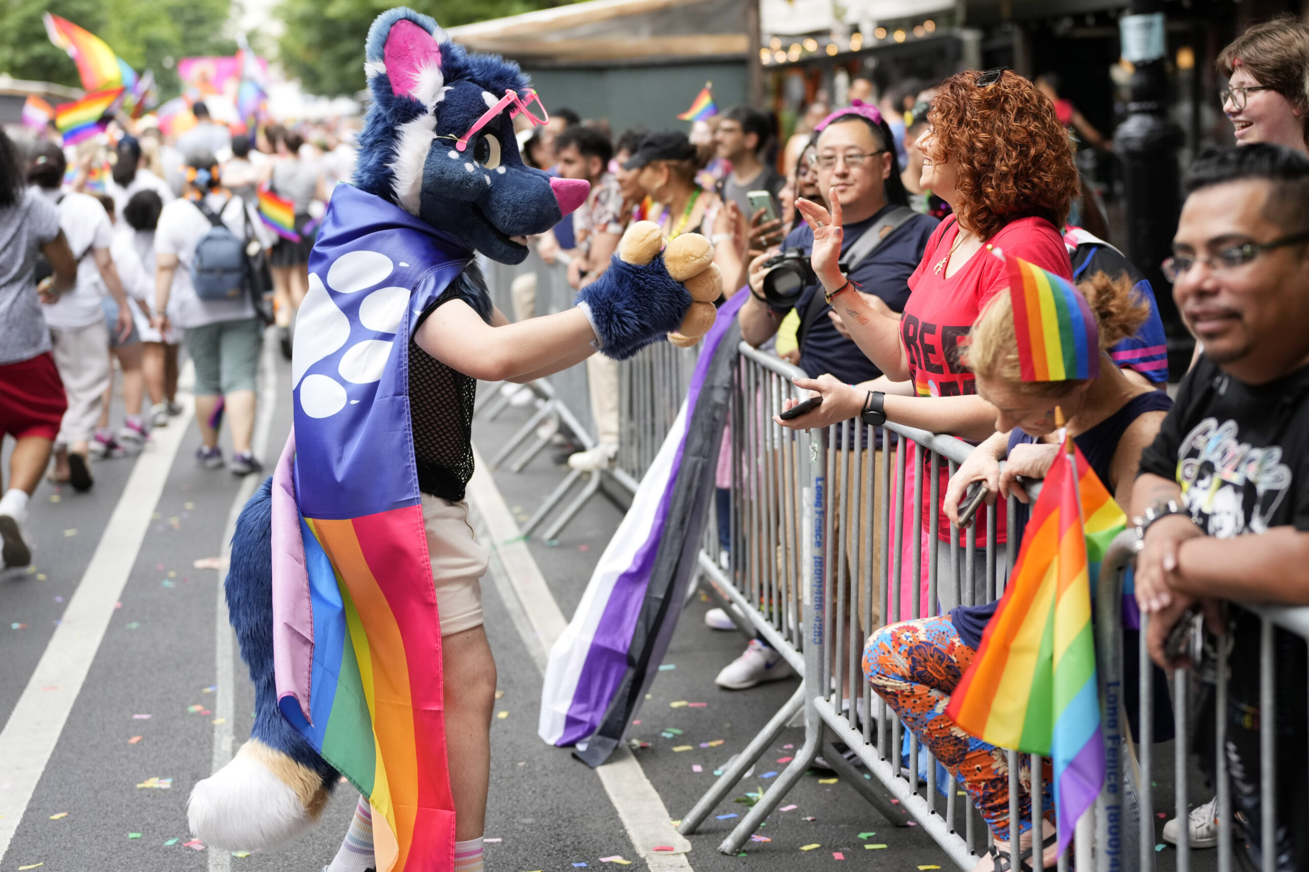 Does Title IX protect furries?