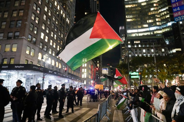 Police watch over a protesters supporting Gaza and calling for a ceasefire in front of the New York Public Library in New York, Thursday, Nov. 9, 2023.
