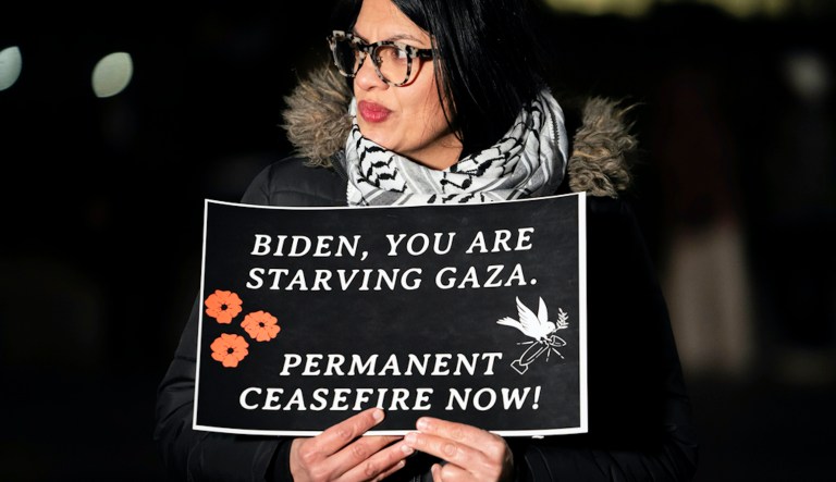 ‘Squad’ Democrat Rashida Tlaib’s Palestinian flag covered by protester: ‘Shame on you’