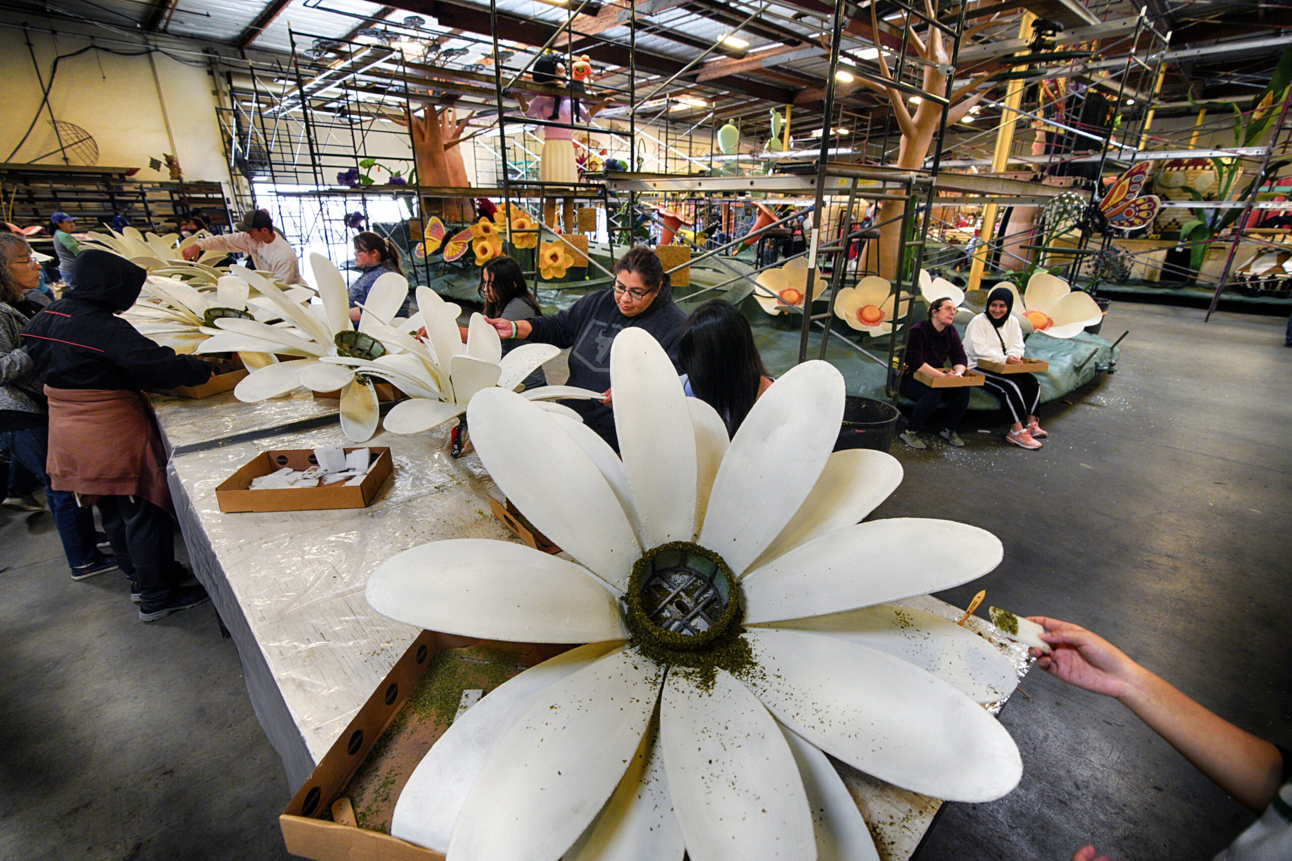 Rose Parade Preparations