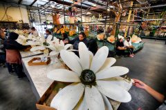Rose Parade rings in new year with 135th event