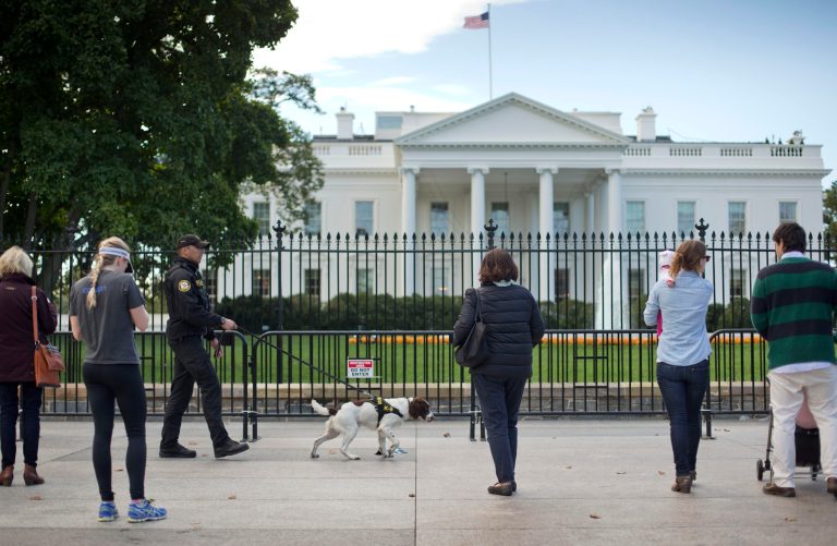 Intruder taken into custody after scaling White House fence