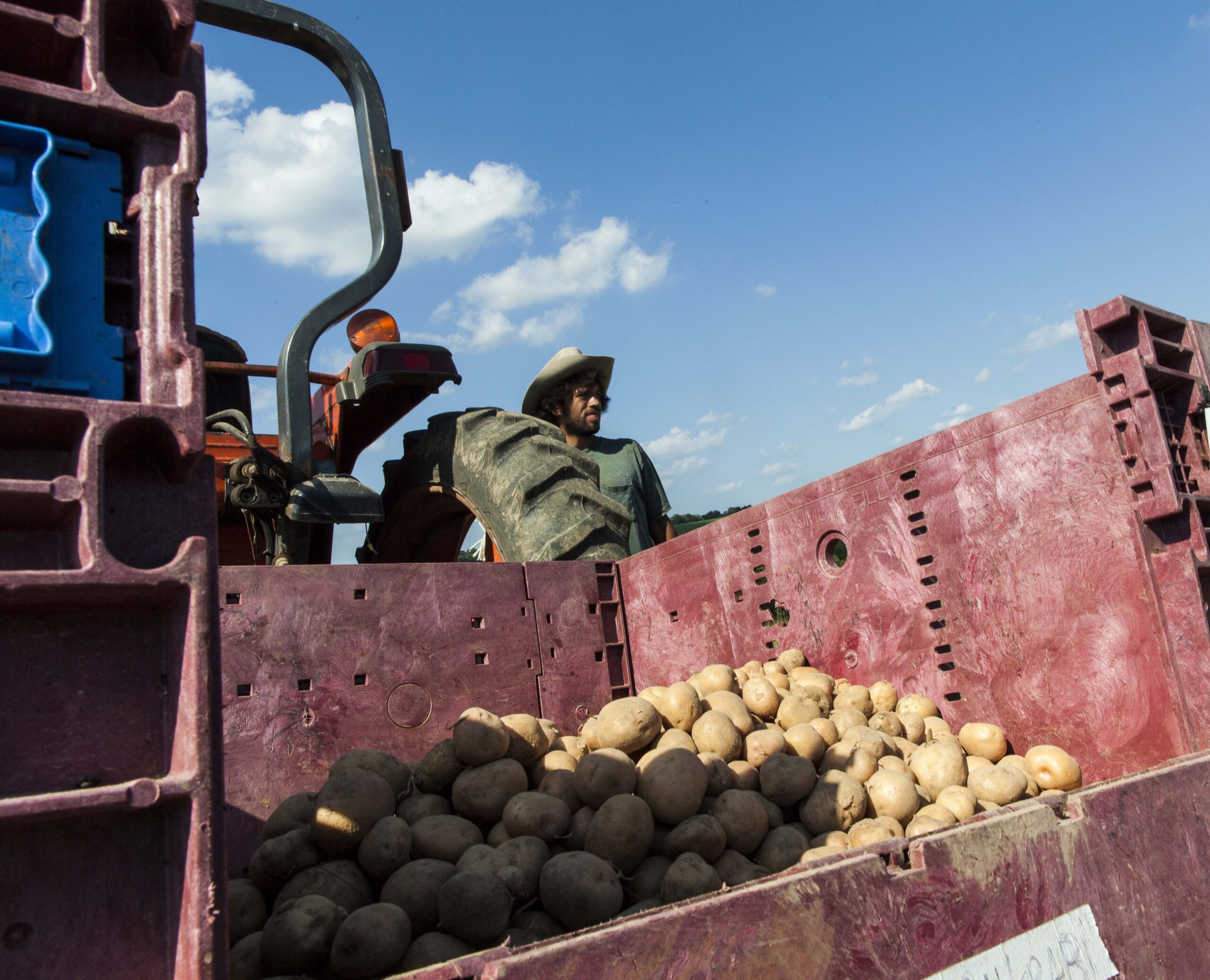 Congress wants more potatoes in gov’t program