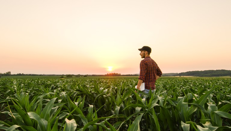 Sustained drought has impacted some of Virginia’s key crops