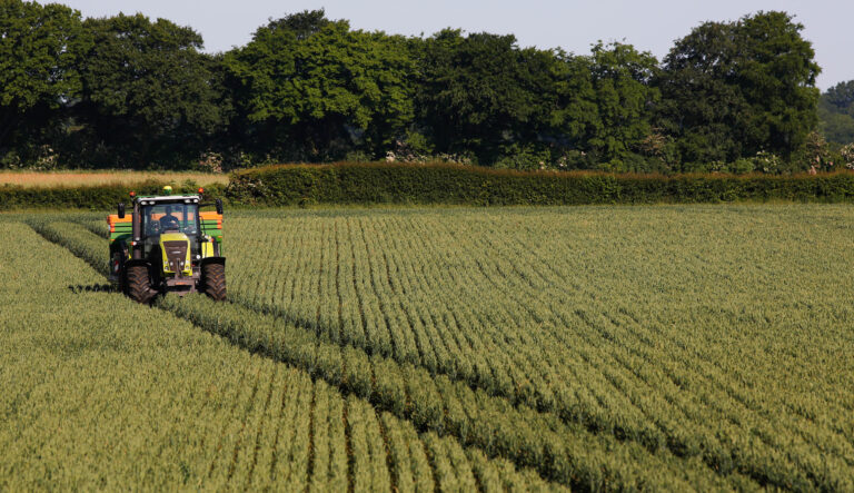 Vanishing farmland in North Carolina helped by $8.8M in grants