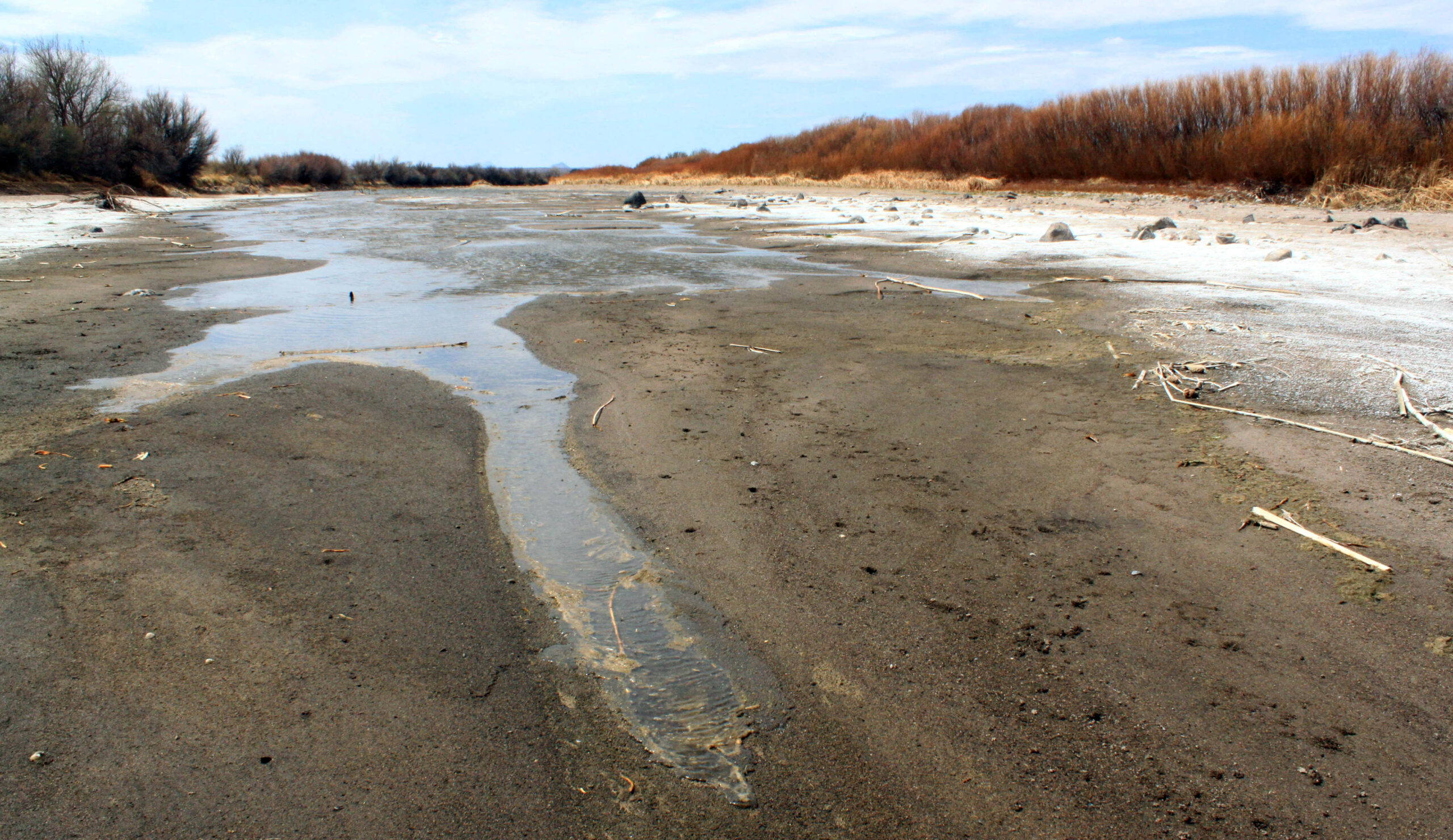 Washington judge throws out children’s climate change lawsuit