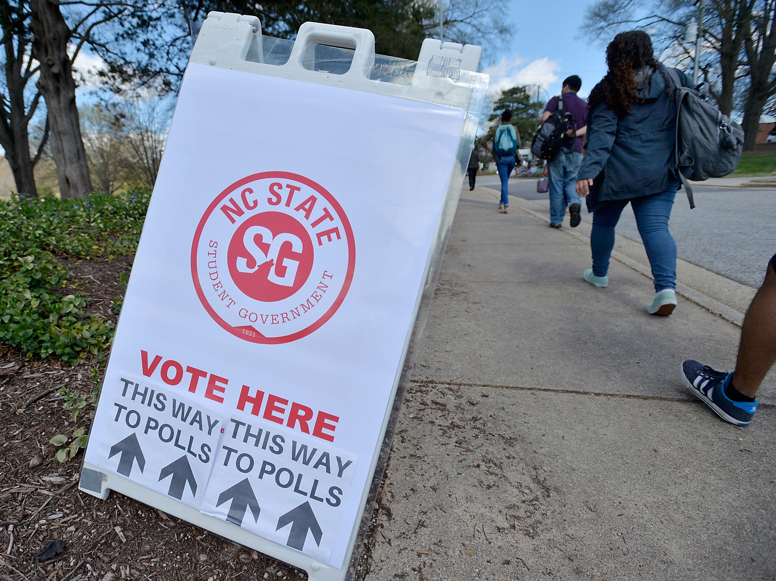 How Many Foreign Voters?