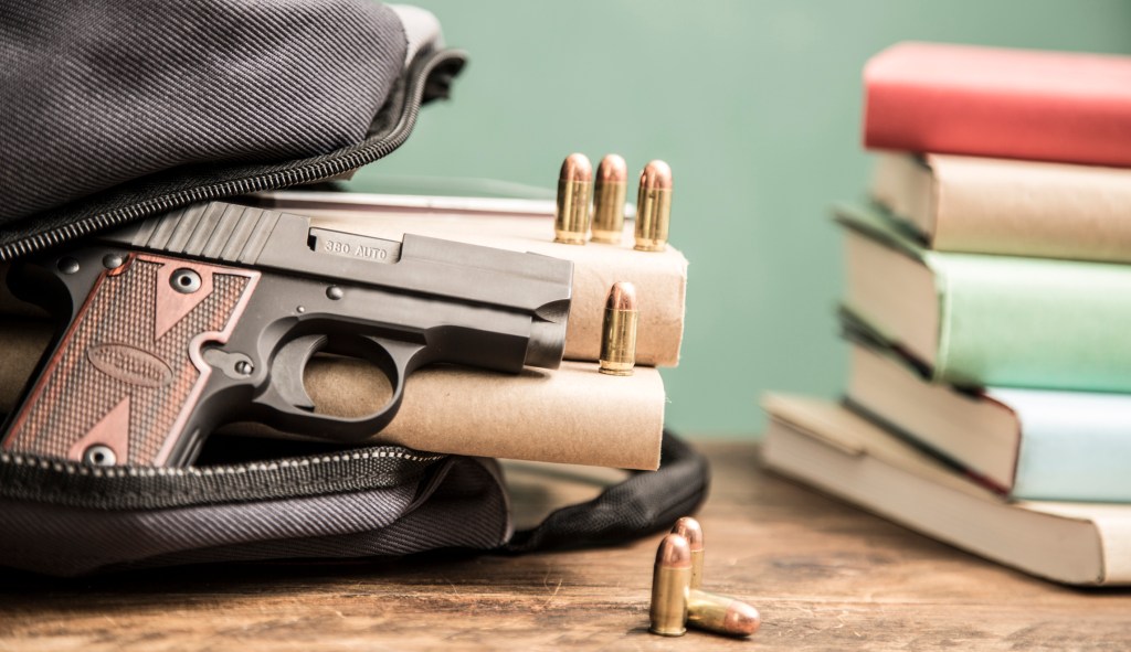 Democrat-sponsored gun bills sail through committee