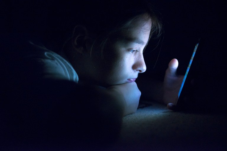 Congress should join the effort to verify ages of pornography viewers
