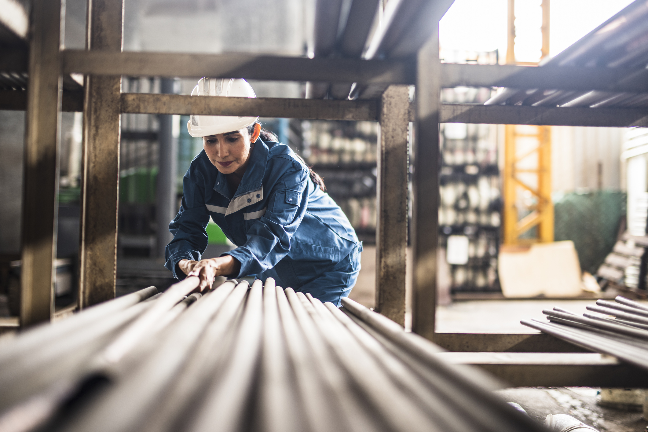 Why have any government-mandated occupational standards at all?