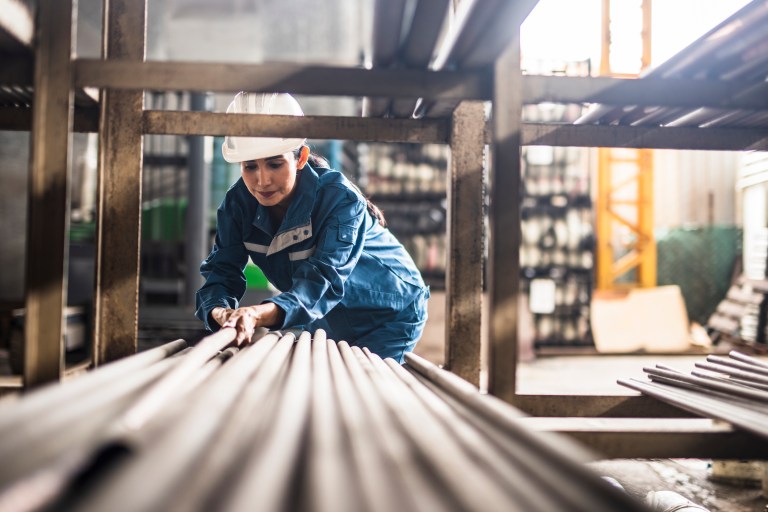 Why have any government-mandated occupational standards at all?