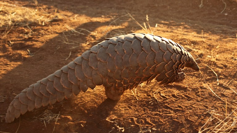 Closing wet markets is a matter of public health