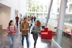 The institutional threat of DEI