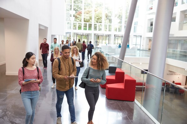 The institutional threat of DEI