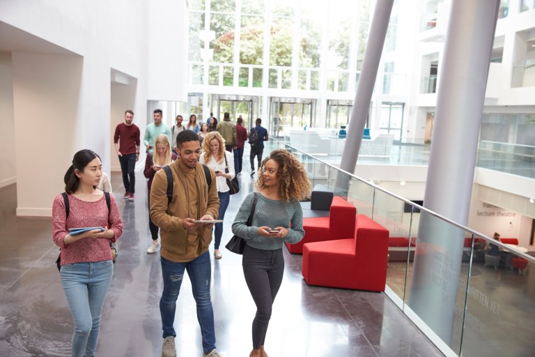 The institutional threat of DEI