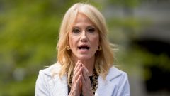 Kellyanne Conway endorses early mail-in voting: ‘You adapt or you die’