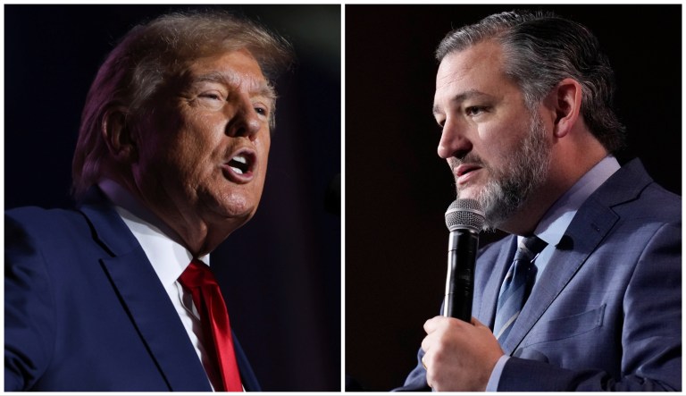 Former President Donald Trump and Sen. Ted Cruz (R-TX).