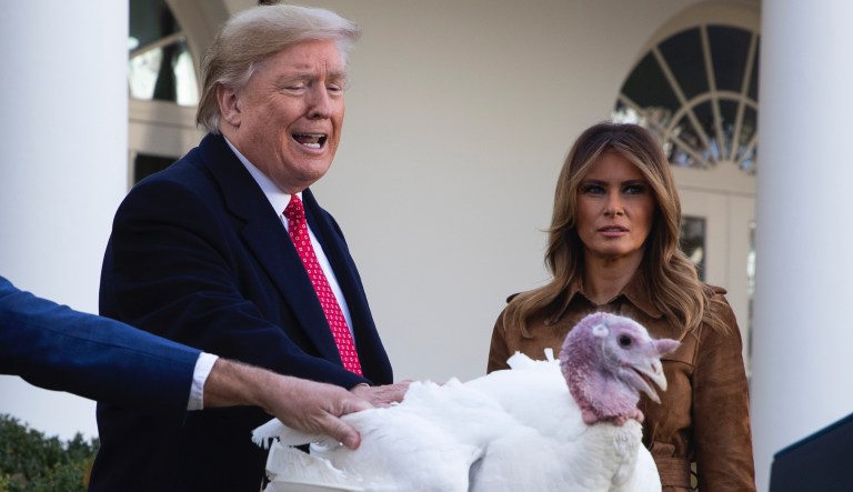 'Already received subpoenas': Trump mocks impeachment while pardoning turkeys