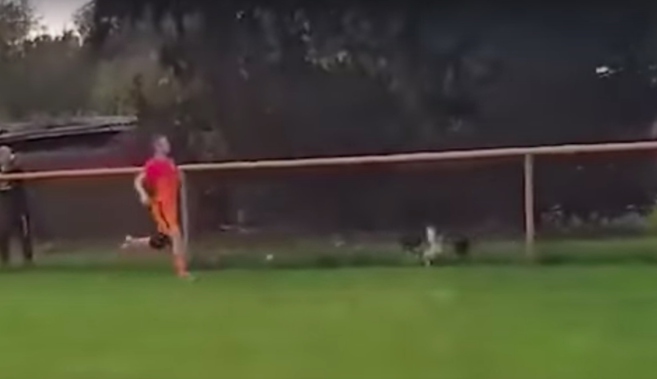 Soccer player penalized for killing chicken during game