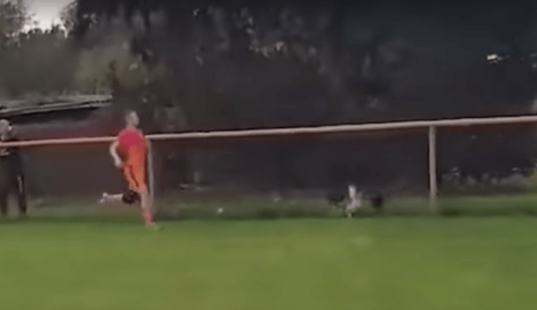 Soccer player penalized for killing chicken during game