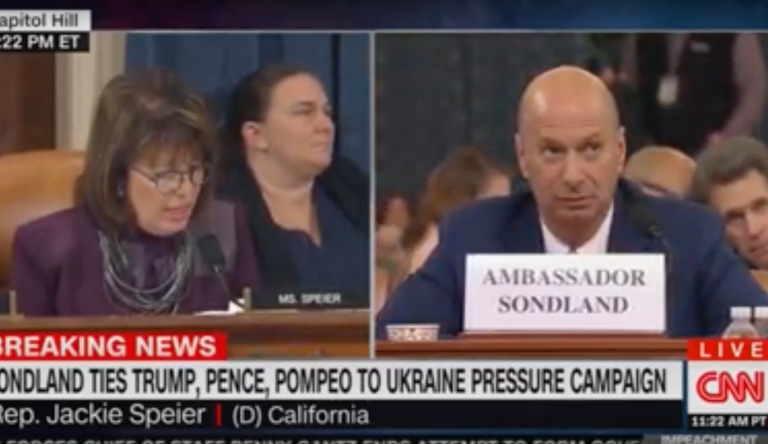 WATCH: Hearing room erupts in applause after Democrat claims Trump gets 'five pinocchios on a daily basis'