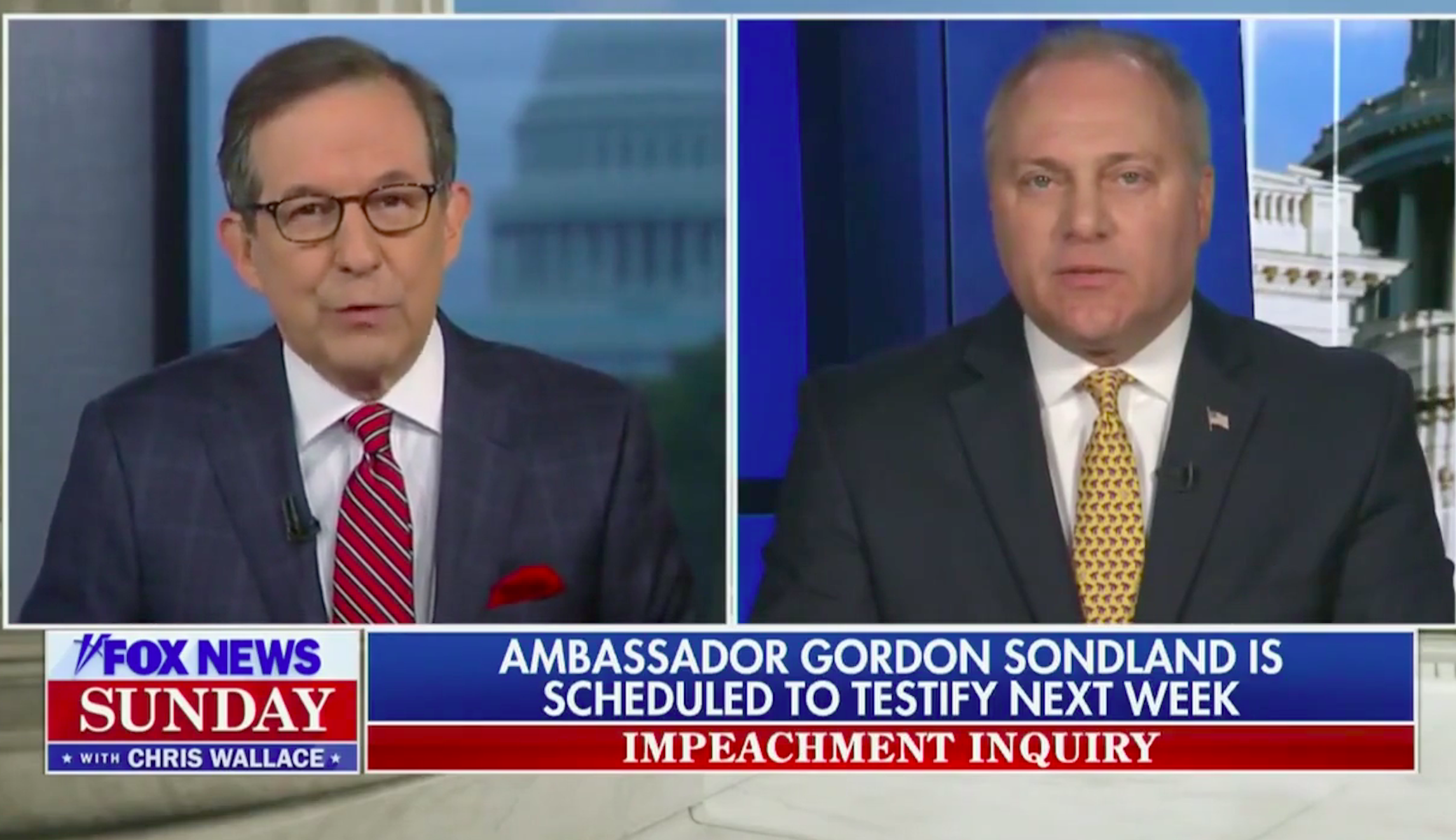 Chris Wallace hits Steve Scalise for dismissing 'Schiff's witnesses'