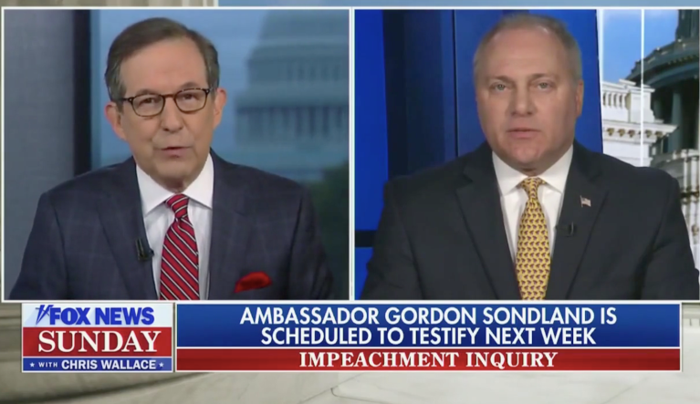 Chris Wallace hits Steve Scalise for dismissing 'Schiff's witnesses'