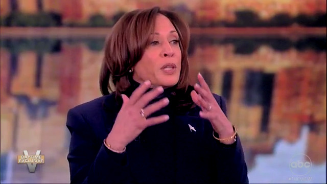 Kamala Harris responds to critics of Biden’s age: ‘They have nothing to run on’