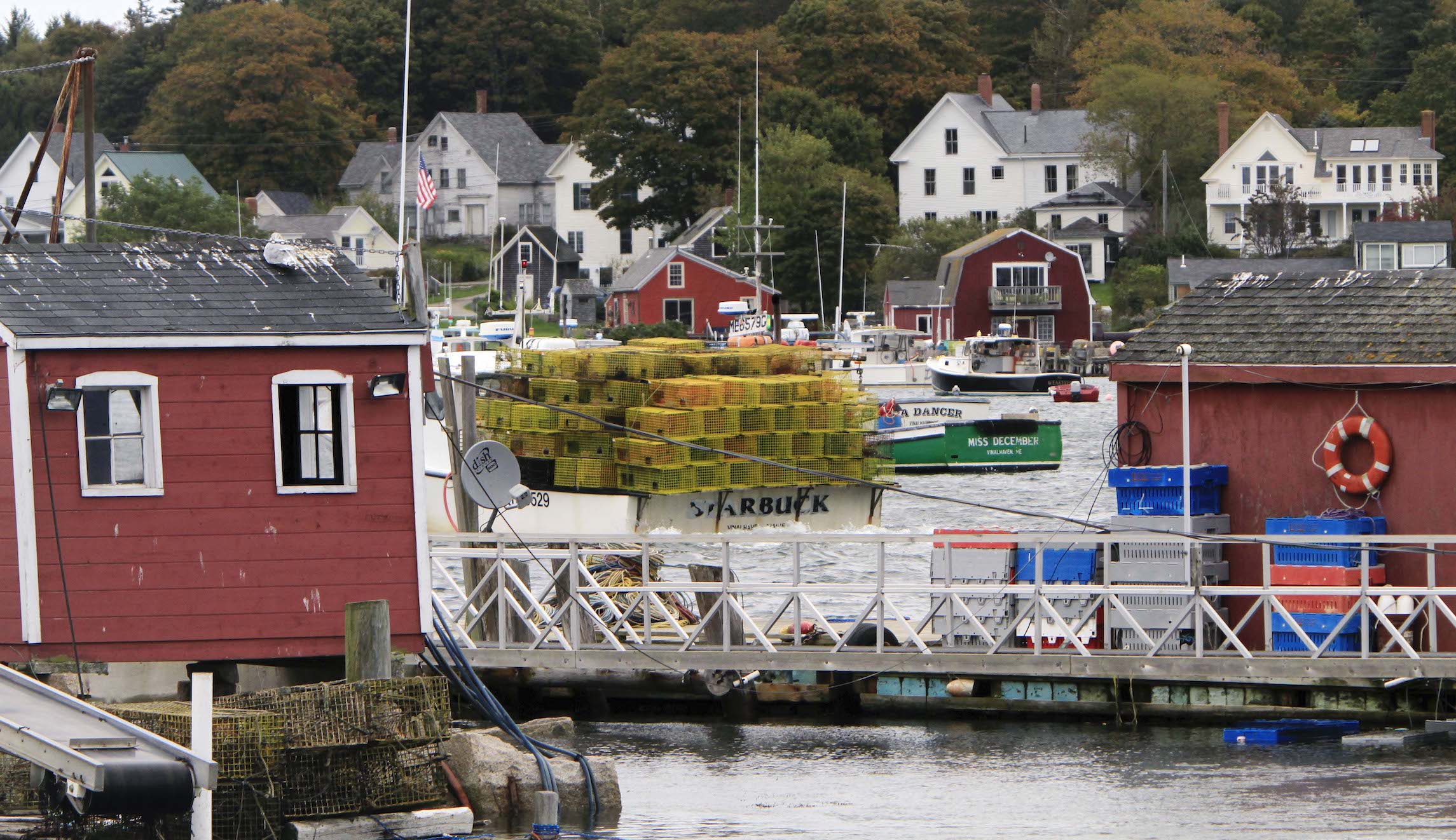 Armed neighbors chop down tree to force man into quarantine