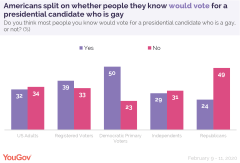 ‘Not sure’ third in latest 2020 Democratic poll, ahead of Bloomberg