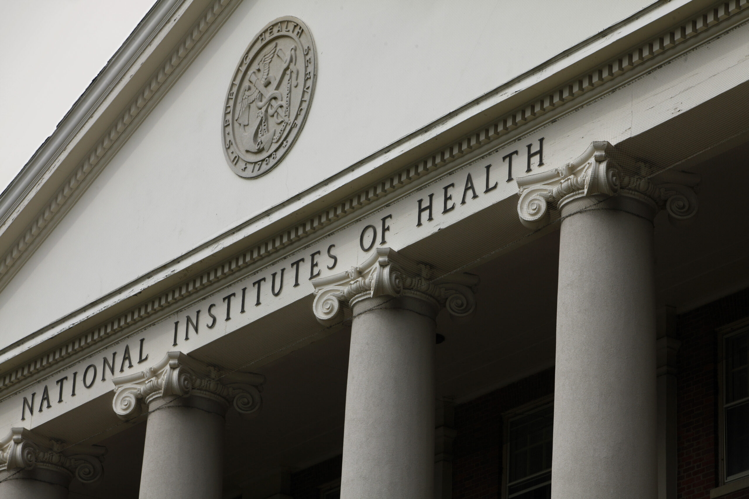What to know about Dr. Jay Bhattacharya, Trump’s pick for NIH director