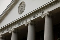 What to know about Dr. Jay Bhattacharya, Trump’s pick for NIH director
